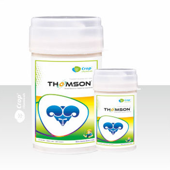 Thiamethoxam 25% WG